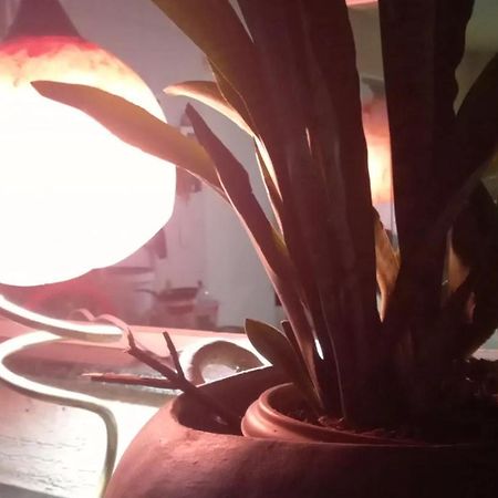 Hotel Fazenda Recanto Das Aguias 阿奎拉兹 外观 照片